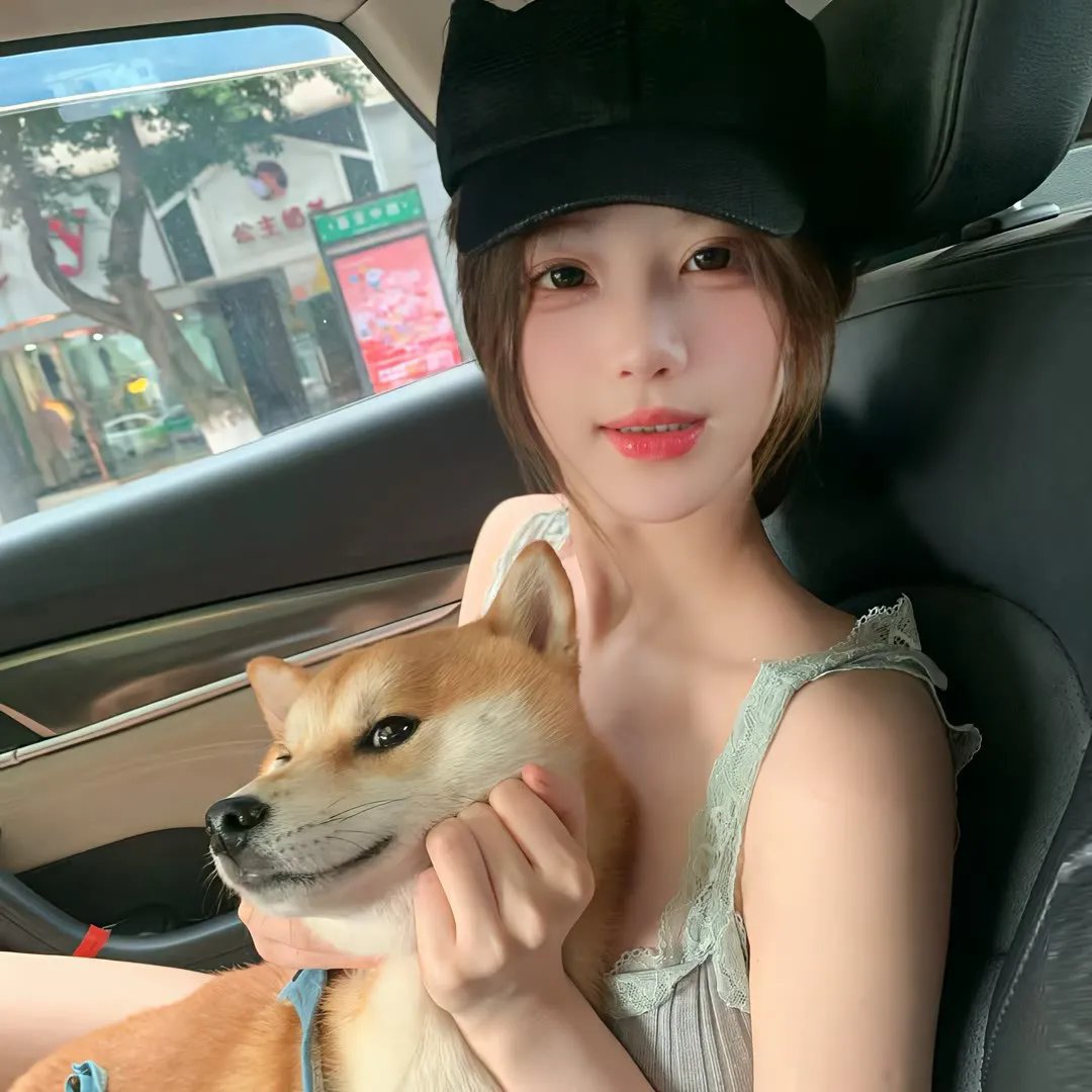 藏獒多吉